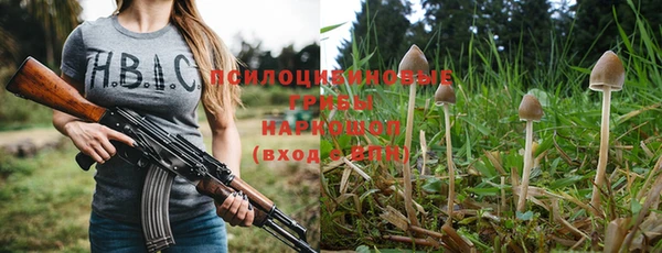 ешки Алексин