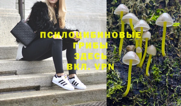 ешки Алексин