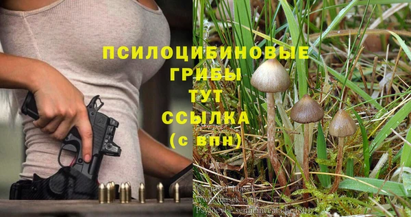 ешки Алексин