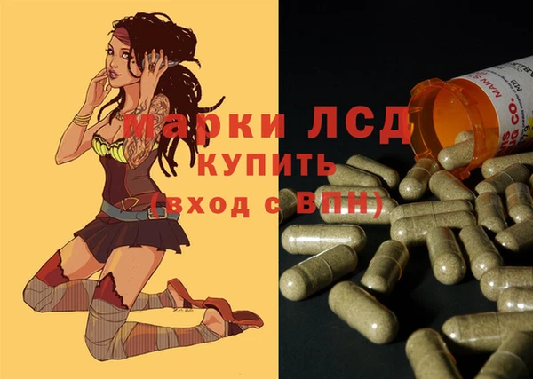 МДПВ Протвино