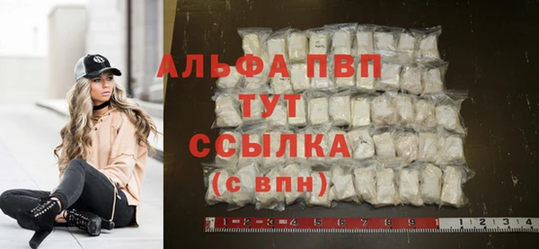 ешки Алексин