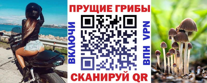Галлюциногенные грибы мухоморы  shop наркотические препараты  Рыбное 